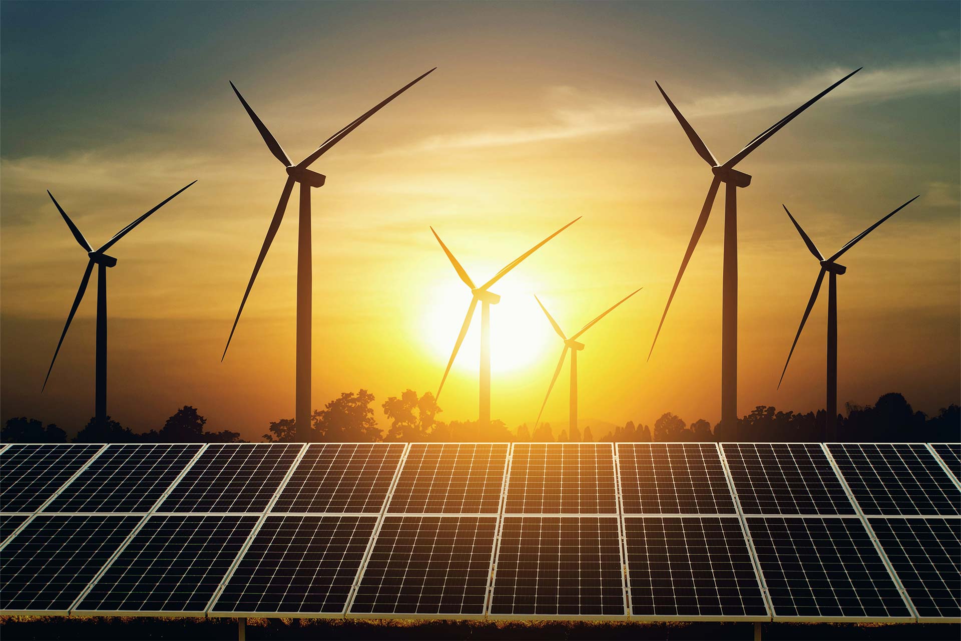 Helping Companies in Their Green Transition